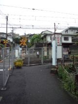 38216-3.jpg