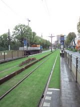 38230-1.jpg