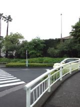 38230-4.jpg