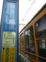 38239.jpg