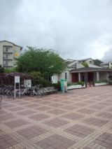 38245-4.jpg