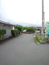 38248-3.jpg