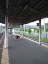 38258-1.jpg