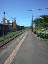 38281-1.jpg