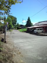 38284-3.jpg