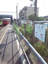 38298-6.jpg