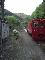 38303.jpg