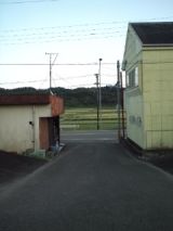 38308-2.jpg