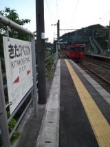 38308.jpg