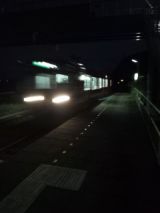 38311.jpg