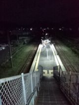 38313-1.jpg