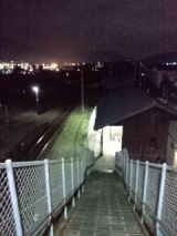 38313-2.jpg