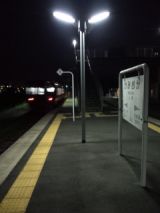 38313.jpg