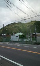38324.jpg