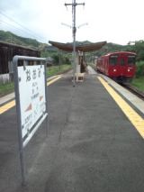38326-8.jpg