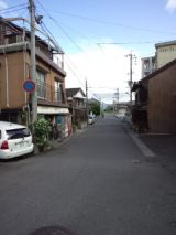 38338-4.jpg