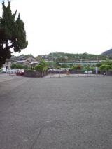 38338-5.jpg