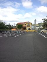 38338-6.jpg