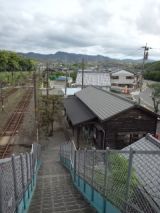 38341-2.jpg
