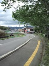 38341-8.jpg