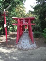 38344-6.jpg