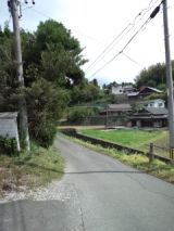 38344-8.jpg