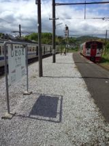 38346.jpg