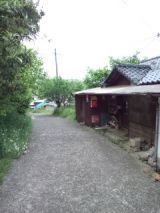 38347-6.jpg