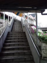 38362-1.jpg
