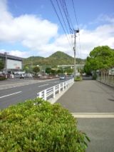 38362-6.jpg