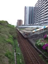 38362-8.jpg