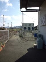 38364-5.jpg