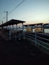 38383-1.jpg