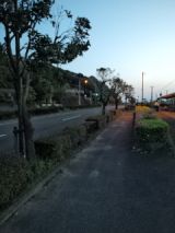 38383-2.jpg