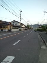 38386-6.jpg