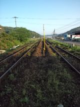 38394-4.jpg