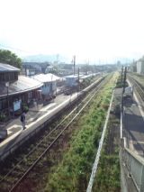 38396-2.jpg