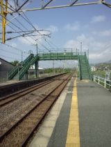 38403-1.jpg