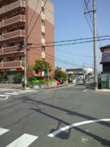38407-1.jpg