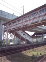 38407-6.jpg