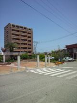 38411-5.jpg