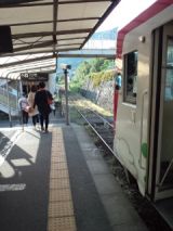 38421.jpg