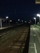 38431-5.jpg