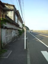 38444-5.jpg