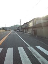 38444-6.jpg