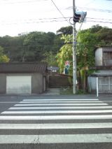 38444-7.jpg