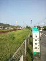 38448.jpg