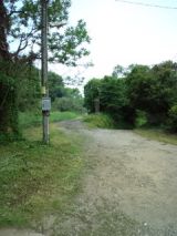 38457-4.jpg