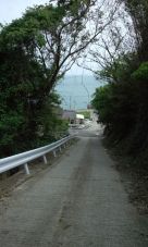 38458-1.jpg