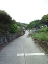 38459.jpg